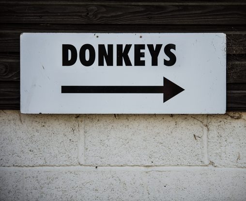 A sign saying "Donkeys"